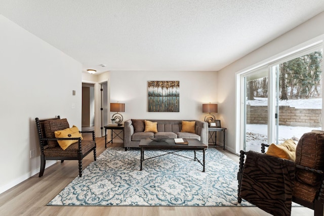 living room featuring a textured ceiling and light hardwood / wood-style floors