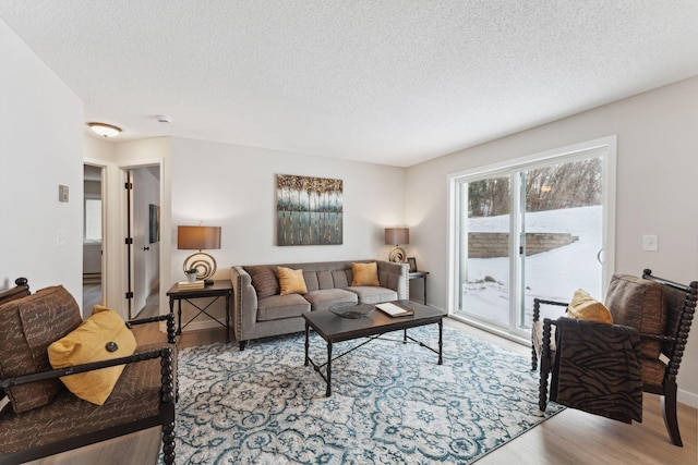 living room featuring light hardwood / wood-style floors and a textured ceiling