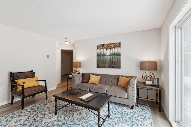 living room featuring a textured ceiling, wood finished floors, and baseboards