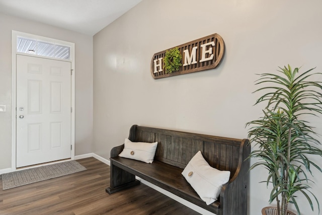 foyer entrance featuring dark hardwood / wood-style flooring