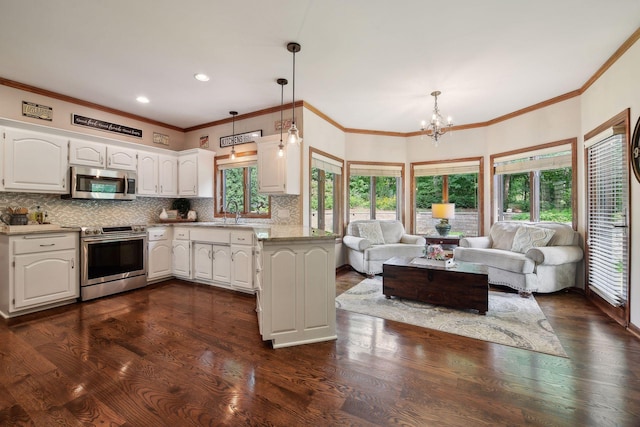 kitchen featuring dark hardwood / wood-style flooring, hanging light fixtures, white cabinets, and stainless steel appliances