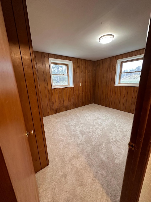 unfurnished room with carpet floors and wood walls