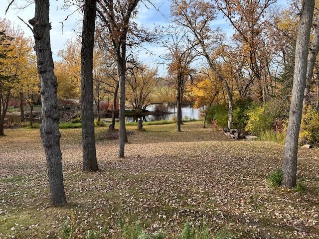 view of yard featuring a water view