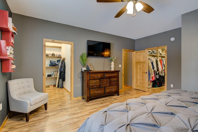 bedroom with a walk in closet, ceiling fan, a closet, and light hardwood / wood-style floors