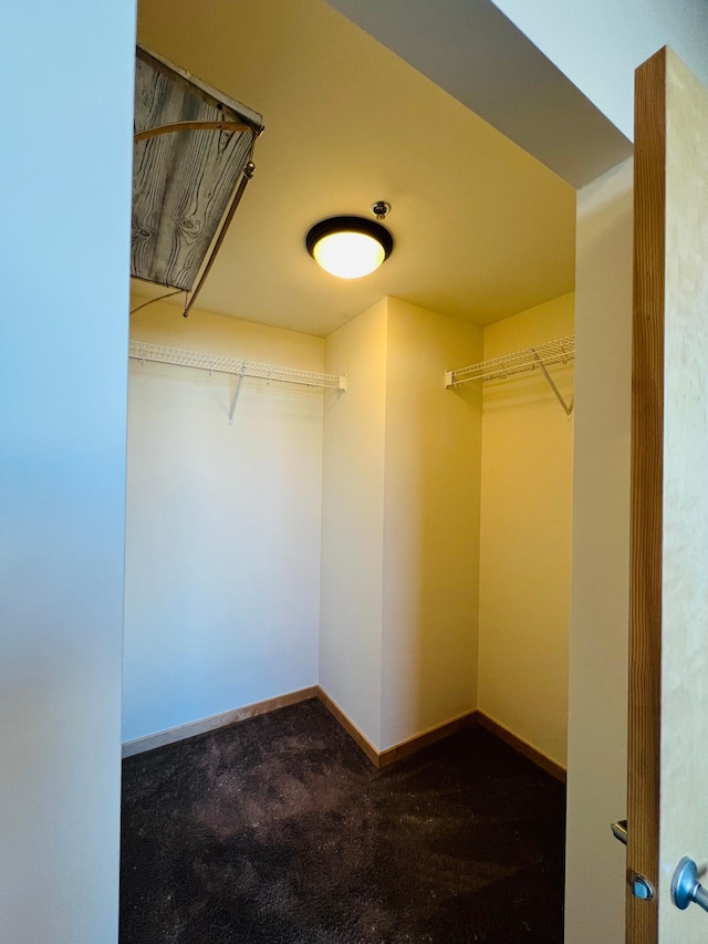 walk in closet featuring dark colored carpet