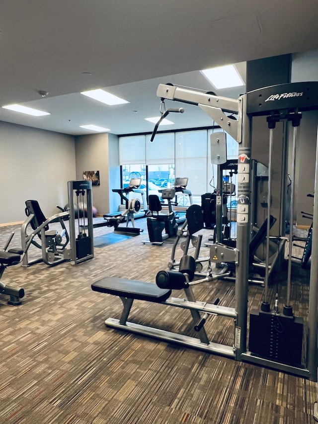 gym featuring carpet floors and a wall of windows