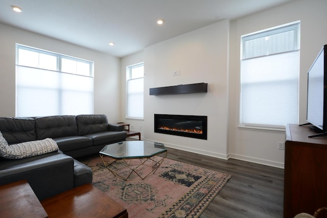 living room featuring dark hardwood / wood-style flooring