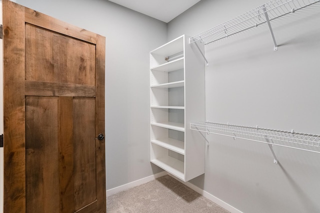 walk in closet with carpet flooring