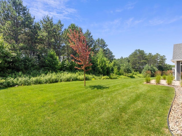 10063 211th St N, Forest Lake, MN 55025 - photo 4