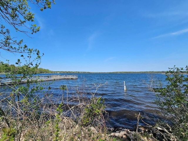 4167 Hallgren Ln, Excelsior, MN 55331 - water view
