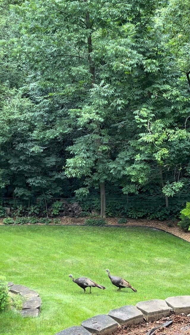 4167 Hallgren Ln, Excelsior, MN 55331 - view of property's community featuring a lawn