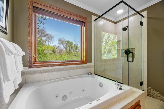 4167 Hallgren Ln, Excelsior, MN 55331 - bathroom featuring a shower stall, ornamental molding, and a whirlpool tub