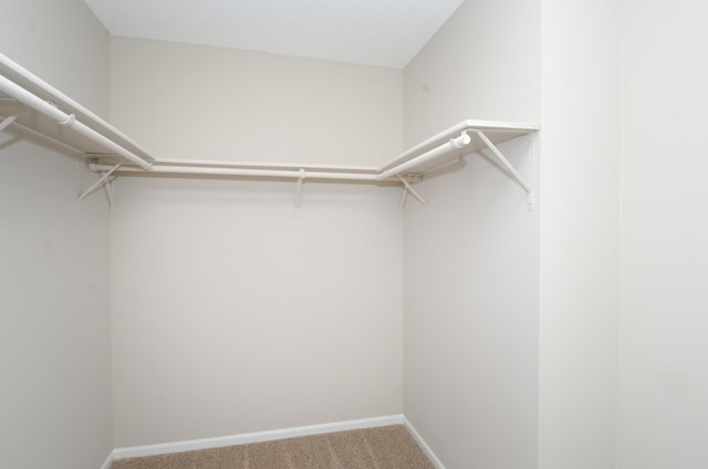 walk in closet featuring carpet flooring