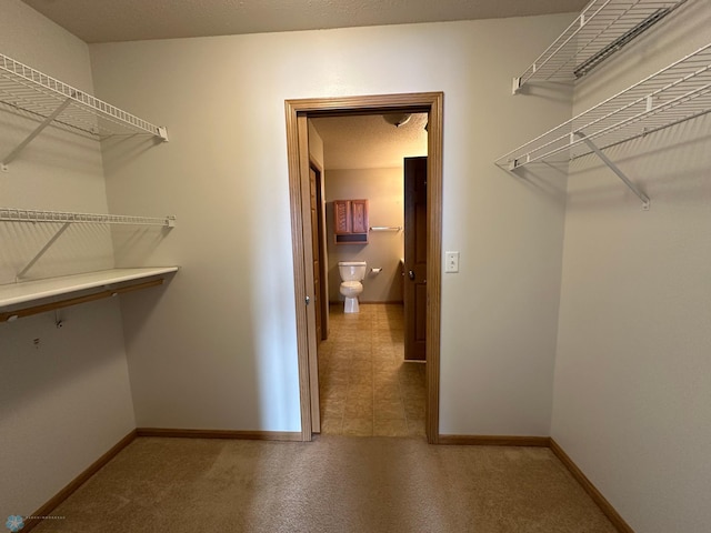 view of walk in closet