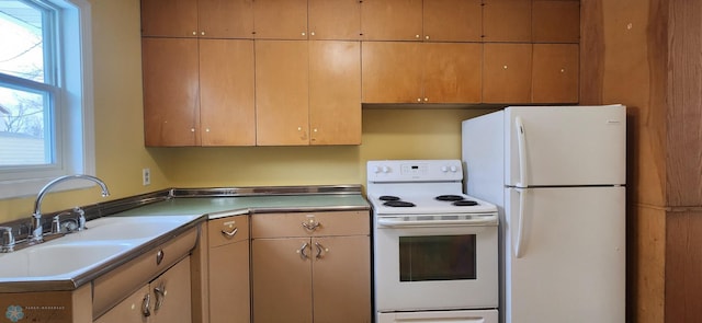 kitchen featuring white appliances, plenty of natural light, and sink