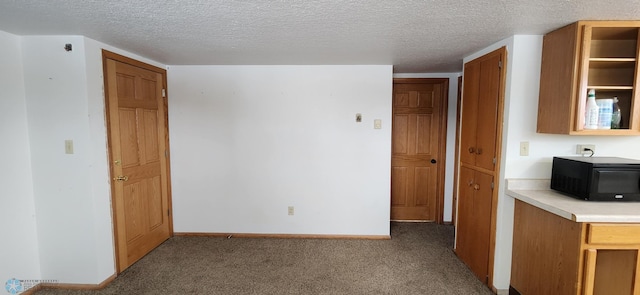 kitchen with light carpet and a textured ceiling