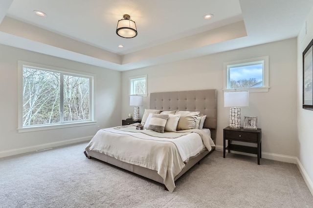 carpeted bedroom with a raised ceiling and multiple windows