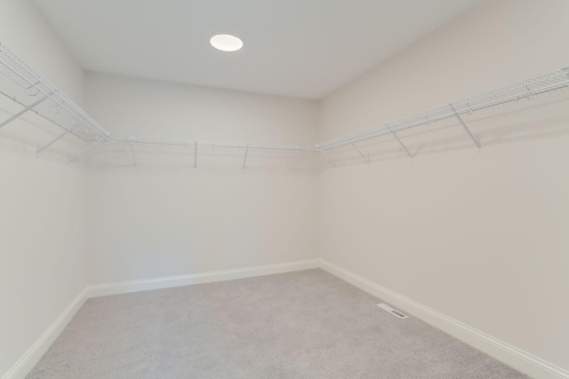 walk in closet with carpet