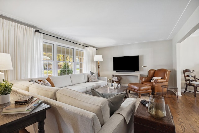 living room with hardwood / wood-style flooring