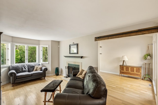 living room featuring a fireplace and light hardwood / wood-style flooring