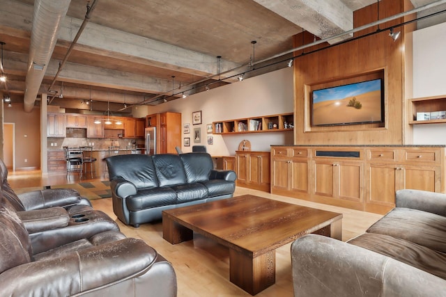 living room featuring light hardwood / wood-style flooring and track lighting