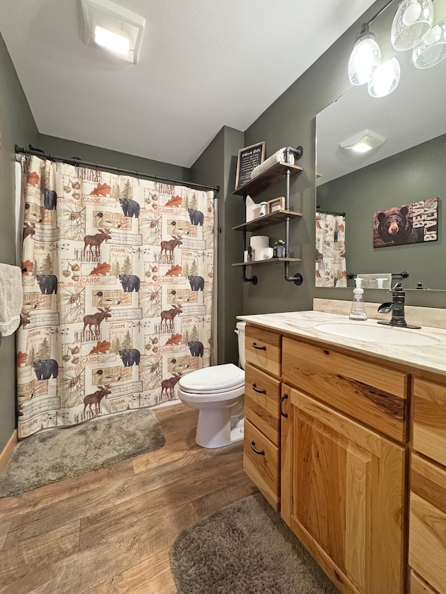 bathroom featuring toilet, vanity, and hardwood / wood-style floors