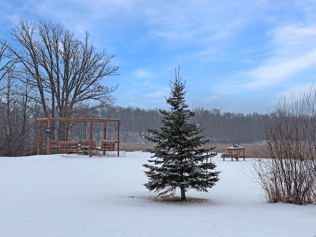 view of yard layered in snow