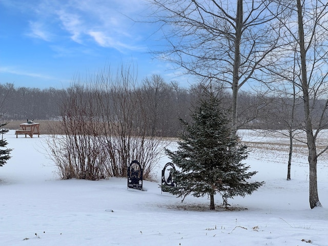 view of yard layered in snow