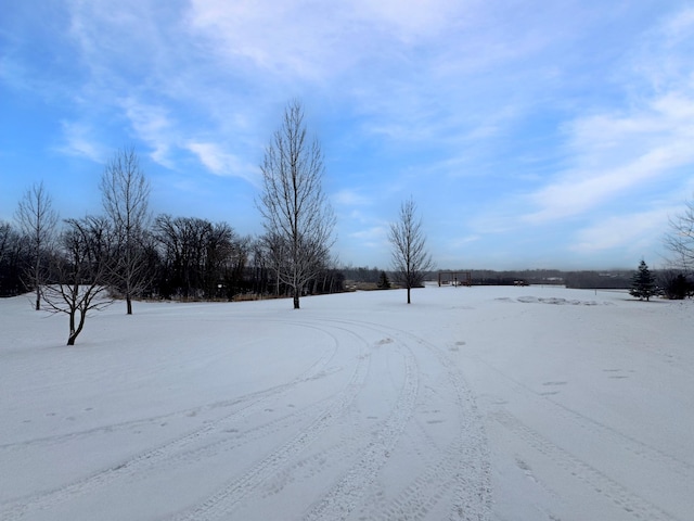 view of yard layered in snow