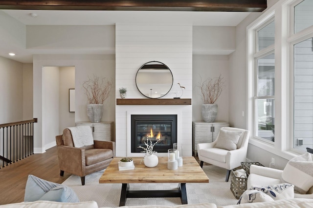 living room with wood-type flooring and a fireplace