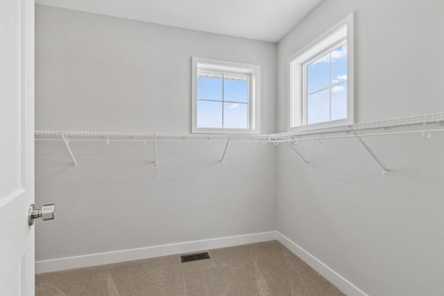 walk in closet with carpet