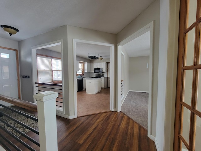 foyer featuring dark hardwood / wood-style floors