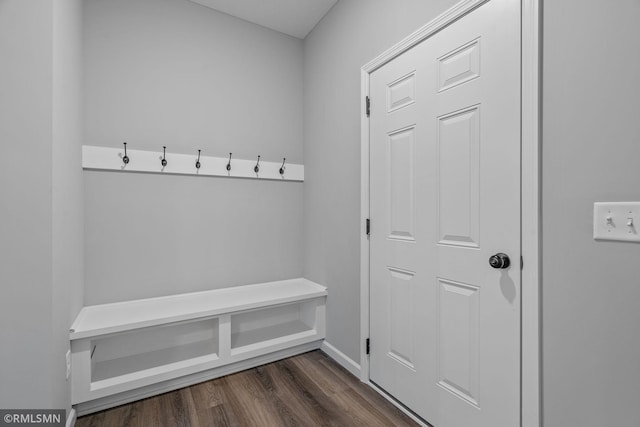 mudroom with dark wood-type flooring