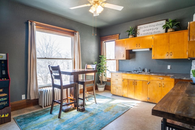 118 Chestnut St, Lake City, MN 55041 - kitchen featuring ceiling fan, radiator heating unit, light colored carpet, a textured wall, and brown cabinets