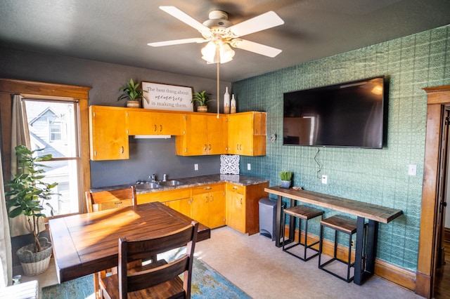 kitchen with ceiling fan and sink