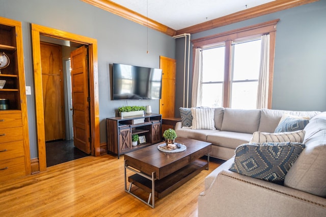 living room with light wood-type flooring and crown molding