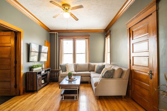 living room featuring ceiling fan, light wood-type flooring, ornamental molding, and a textured ceiling