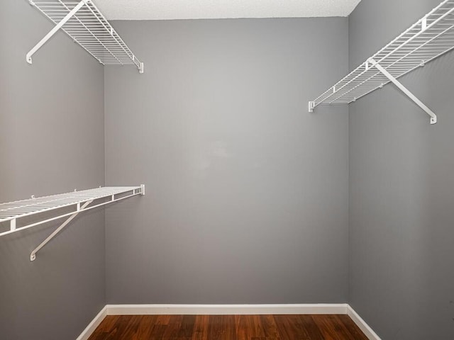 walk in closet featuring hardwood / wood-style flooring