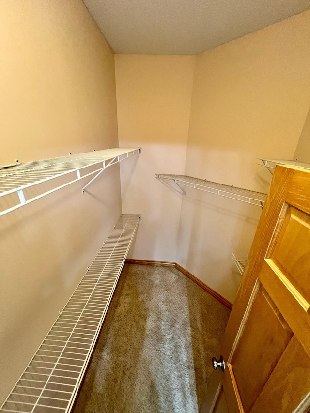 walk in closet with dark carpet