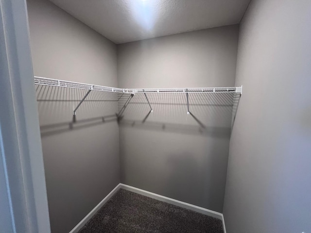 walk in closet with carpet