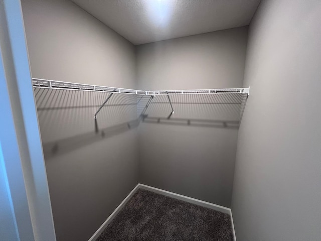 spacious closet with carpet floors