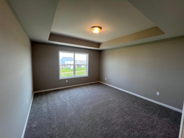 carpeted spare room with a raised ceiling and a textured ceiling