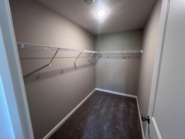 walk in closet with carpet flooring