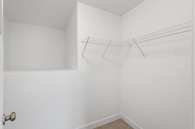 walk in closet featuring carpet floors