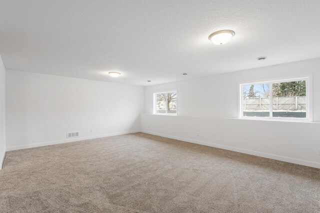 empty room with carpet flooring and a healthy amount of sunlight