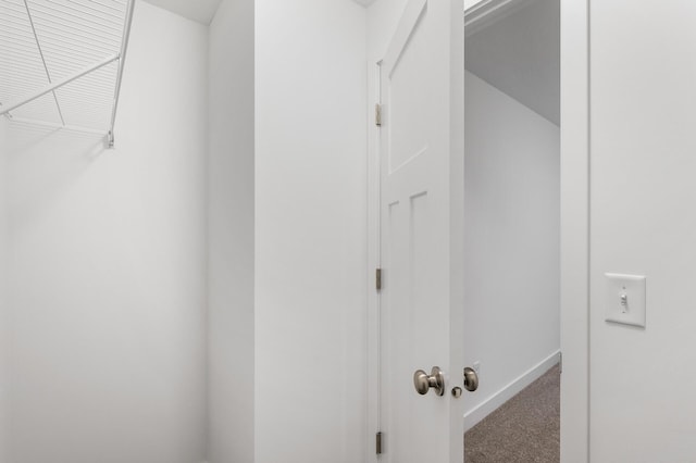 spacious closet with carpet