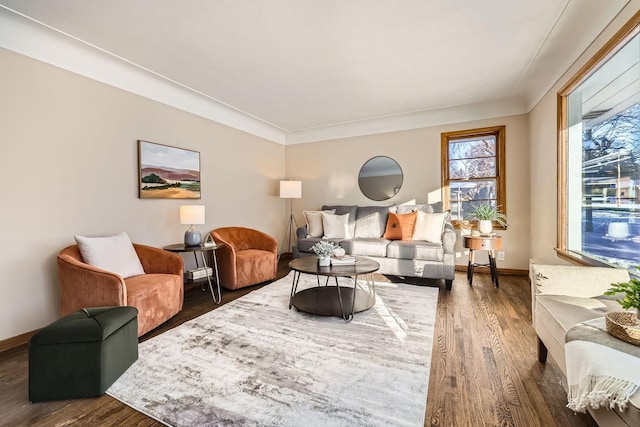 living room with dark hardwood / wood-style floors