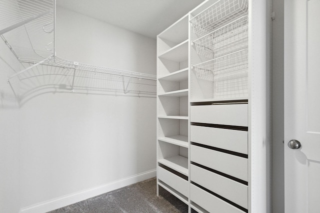 walk in closet featuring carpet floors