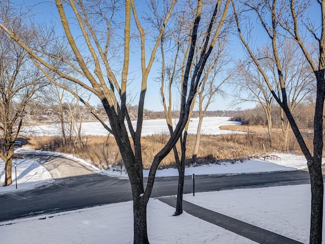 view of snowy yard