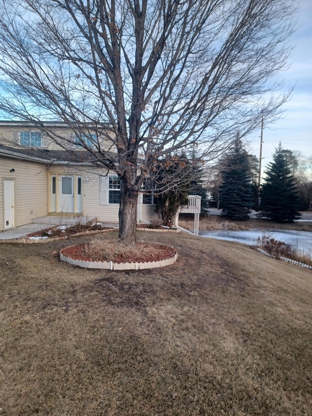 view of yard featuring a patio area